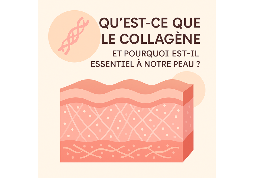 Qu’est-ce que le collagène et pourquoi il est essentiel pour la peau