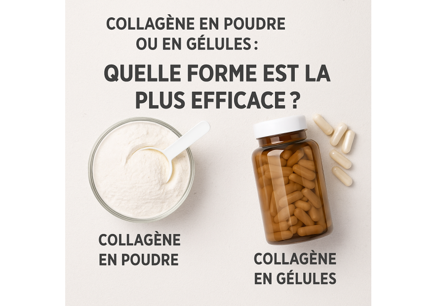 Collagène en poudre ou gélules : quelle forme choisir ?