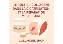 Le rôle du collagène dans la cicatrisation et la réparation musculaire